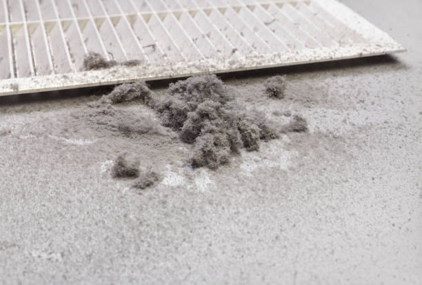 Best Home Air Vent Cleaning  in Hansen, ID